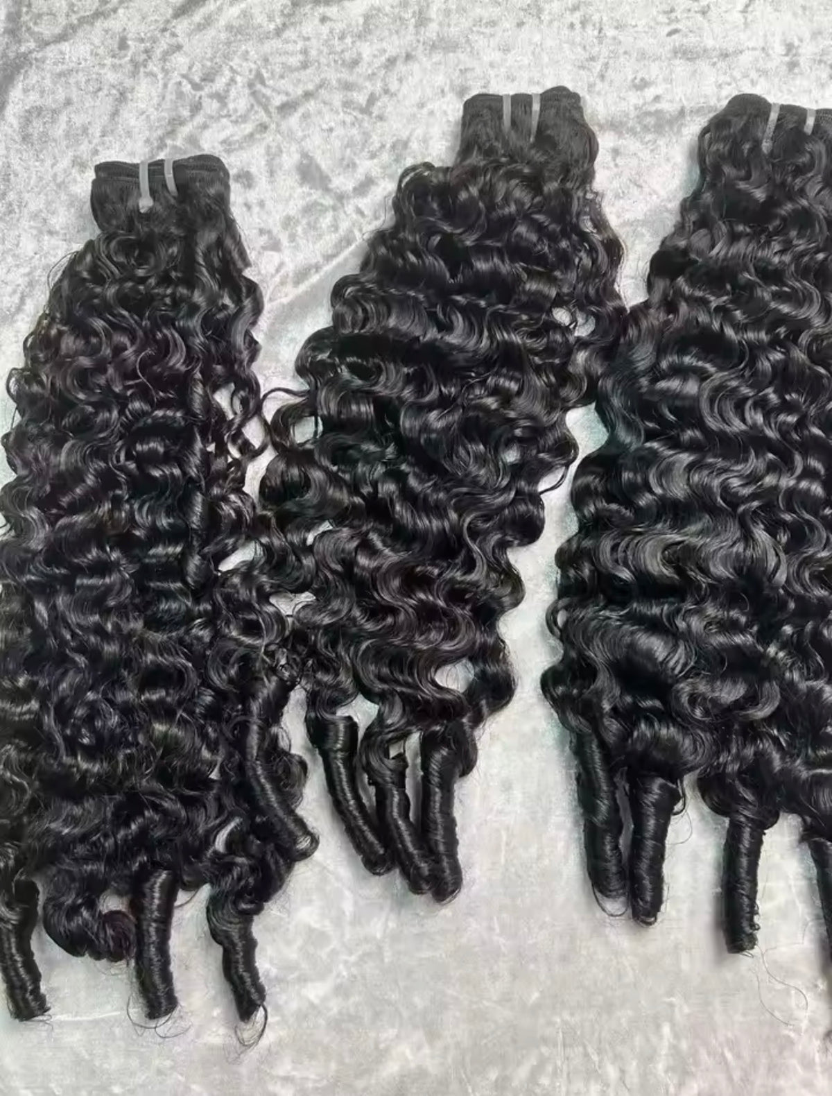 BURMESE CURLY