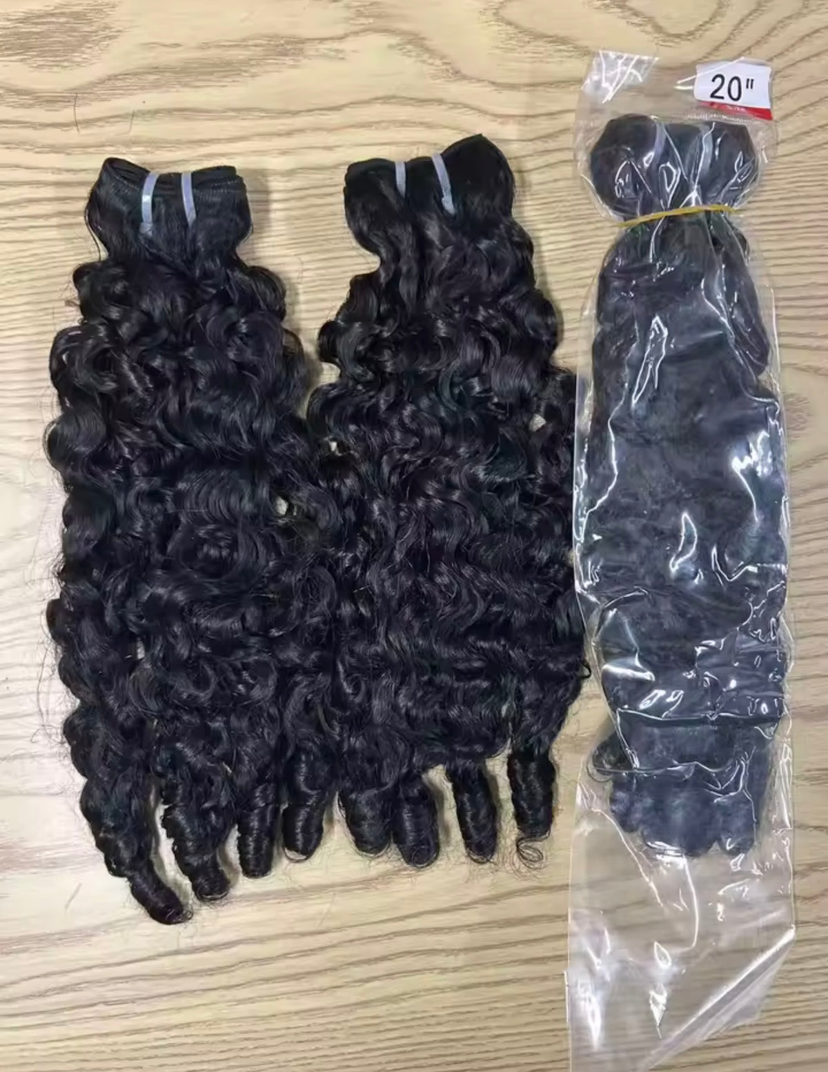 BURMESE CURLY