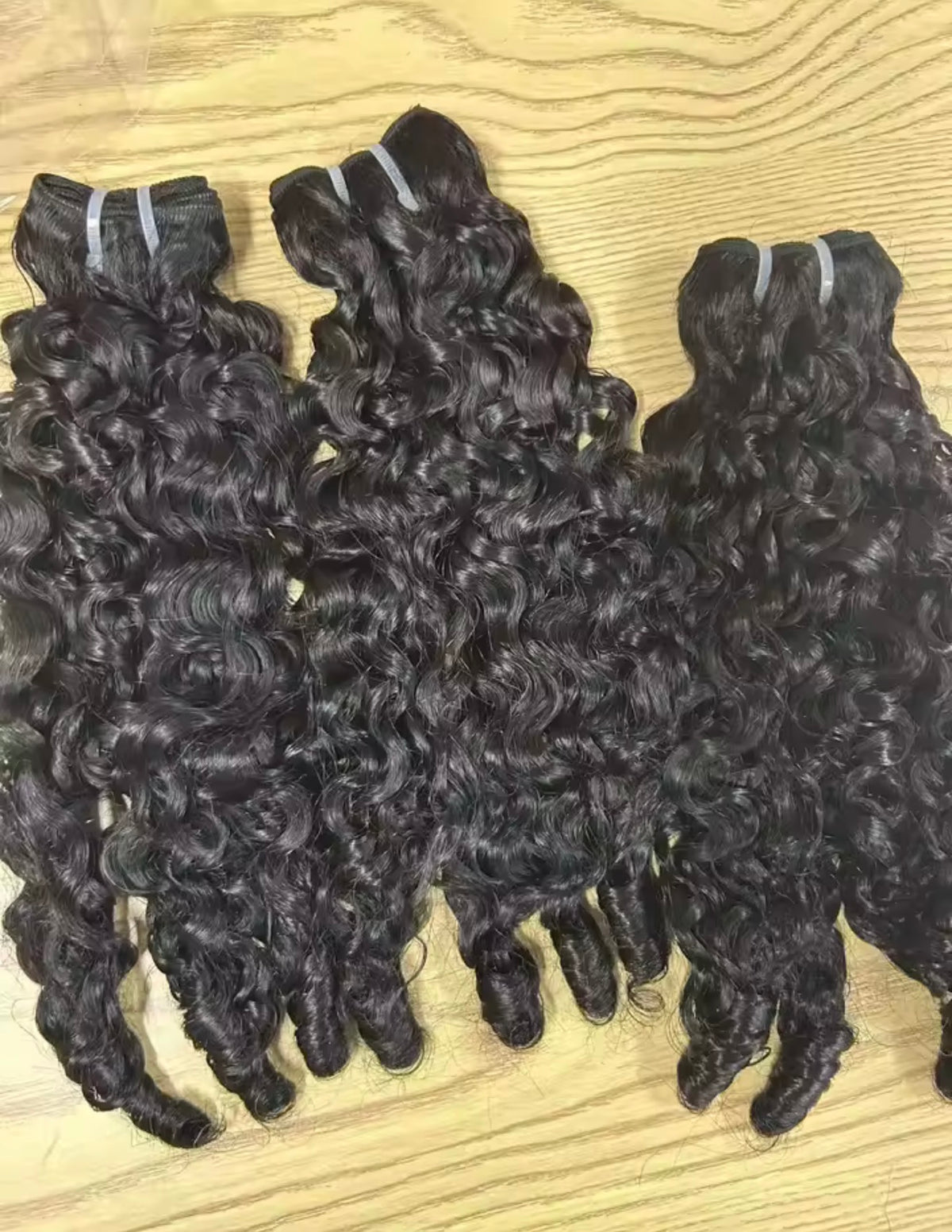 BURMESE CURLY